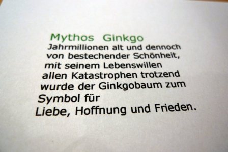 mythos ginkgo - deutsch Mythos Ginkgo