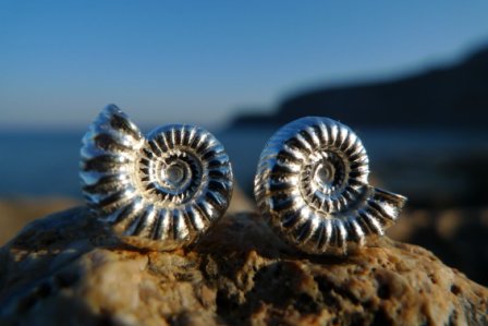 Ohrstecker Ammonit Silber