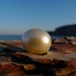 Südseeperle weiß Südseeperle weiß