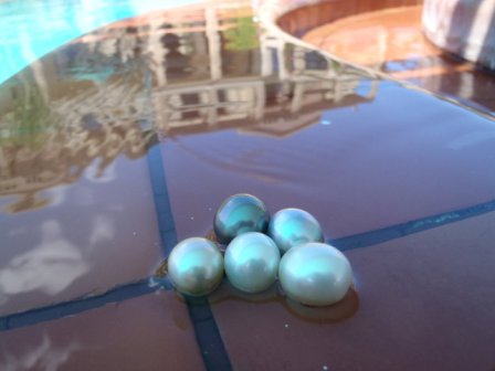 Südseeperlen Südseeperlen