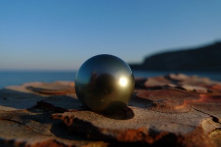 graue Tahitiperle graue Tahitiperle