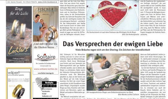 Screenshot der Artikelseite